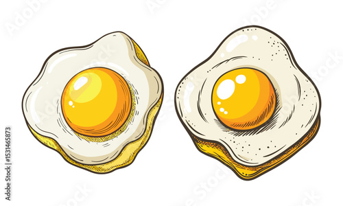 Perfect Fried Eggs Illustration - Cooked Eggs Drawing for Breakfast & Food Art