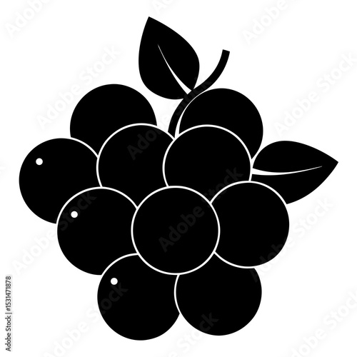 Blueberry cluster silhouette