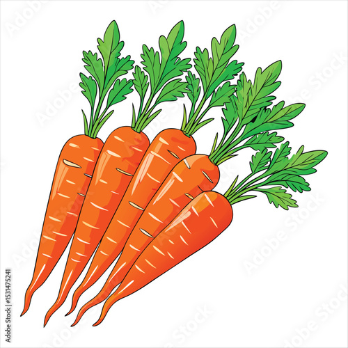 Fresh Orange Carrots Clipart with Green Tops - Healthy Vegetable Illustration