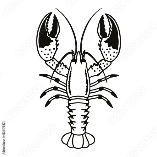 Bold black and white showcases a detailed lobster in a striking design