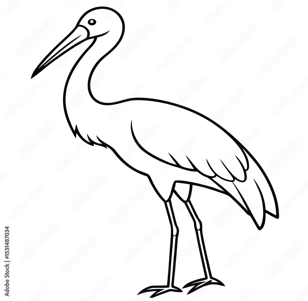 Obraz premium Adobe Illustrator Artwork