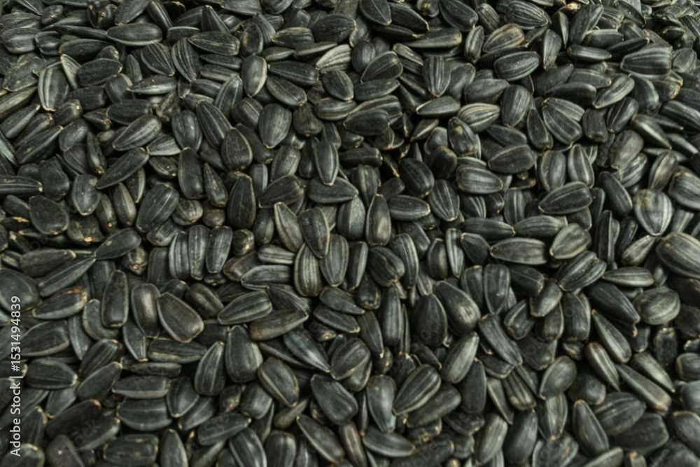 Closeup of sunflower seeds. The intricate beauty and potential of sunflower seeds. Sales of sunflower seeds in the market. A detailed view of fresh sunflower seeds ready for planting. Closeup of sunflower seeds. The intricate beauty and potential of sunflower seeds. Sales of sunflower seeds in the market. A detailed view of fresh sunflower seeds ready for planting.