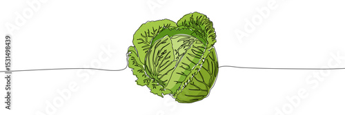 Green cabbage head drawn with one continuous black line on white background. Minimalist vector illustration with green color fill. Food and vegetable concept for design and print