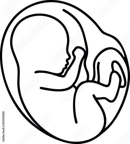 Human fetus in womb vector illustration outline simple design 