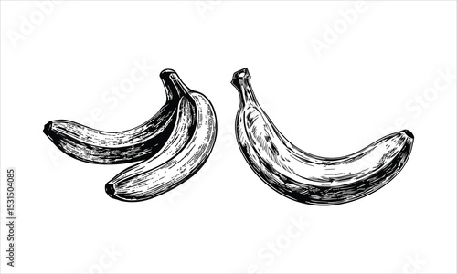 Hand-Drawn Banana Sketch - Black & White Fruit Illustration for Healthy Food