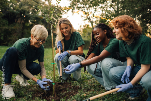 Papier peint Volunteers planting trees in park on sunny day