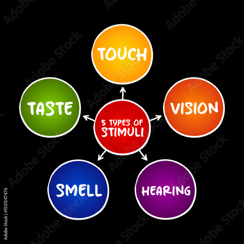 The 5 types of external stimuli - divided into our senses: touch, vision, smell and taste, mind map concept