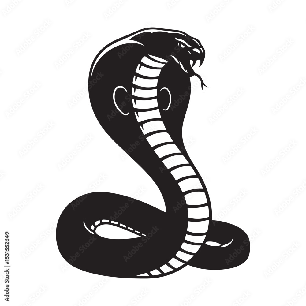 Fototapeta premium snake vector illustration