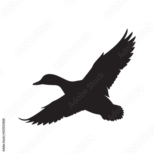 Silhouette duck vector illustration  on white background