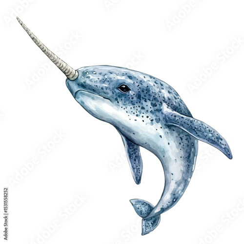 watercolor of Narwhal Close Up, vector, isolated on a white background.