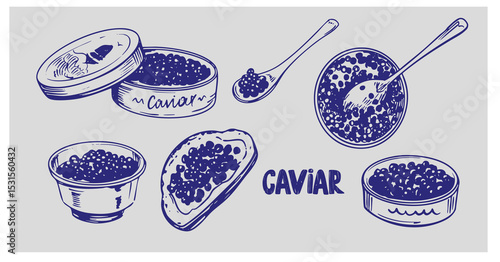 Black sturgeon caviar, beluga, realistic hand drawn sketch, vector monochrome illustration