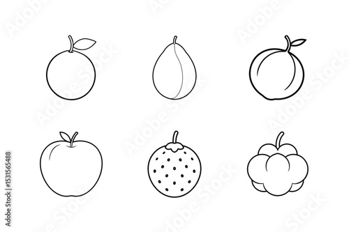 Calamansi canistel cempedak chalta cherimoya cloudberry fruit set Line Art Vector illustration