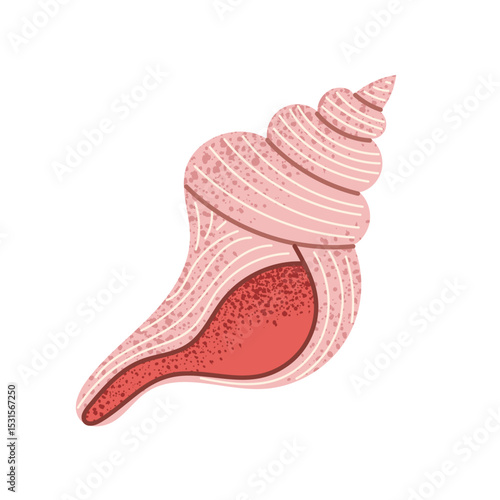 Pink conch seashell illustration. Spiral marine shell with smooth curves and speckled texture. Perfect for ocean-themed designs, beach prints, or summer decoration.