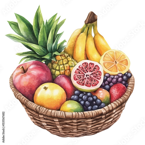 watercolor vector of Mixed Tropical Fruit Basket, isolated on a white background.