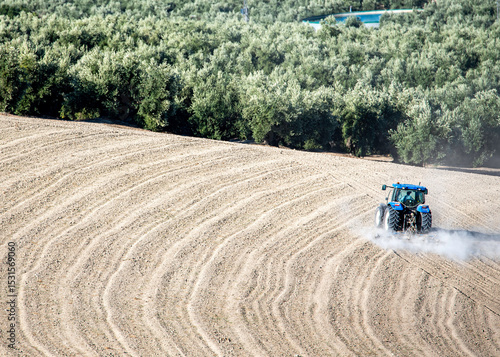 A tractor plows a wavy field while an olive grove stretches into the background, showcasing rural labor and Mediterranean agriculture.
