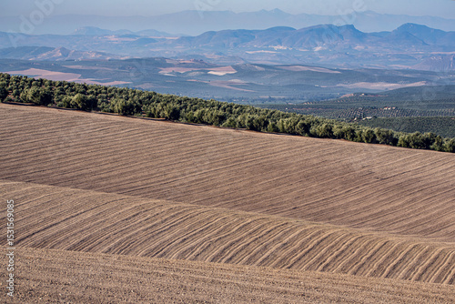 Wavy furrows in a plowed field with olive trees, mountains, and small villages in the distance. A scenic blend of agriculture and rural beauty