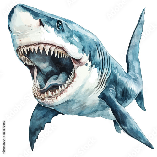watercolor vector of Megalodon, isolated on a white background.