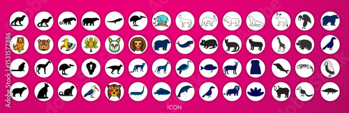 A colorful poster displaying various South American animals.  Multiple animals are depicted in a grid-like format, 
with labels below each image.  The animals include a cougar, alpaca, giant centipede
