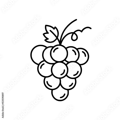 Grapes illustrated in minimalistic black and white line art style  