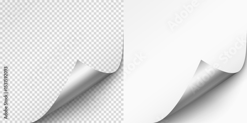 Curled page corner isolated on transparent and white background. Blank curve paper edge, bent sheet, note angle with realistic shadow. Vector rolled up stickers, peel banners