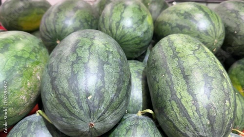 Green striped watermelons ripe bright striped watermelons on one pile. Harvesting watermelon. Beautiful background, illustration of watermelon harvesting. Sweet natural fruit dessert, healthy food