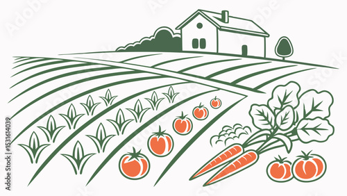 Farm landscape with house fields carrots tomatoes and leafy green vegetables