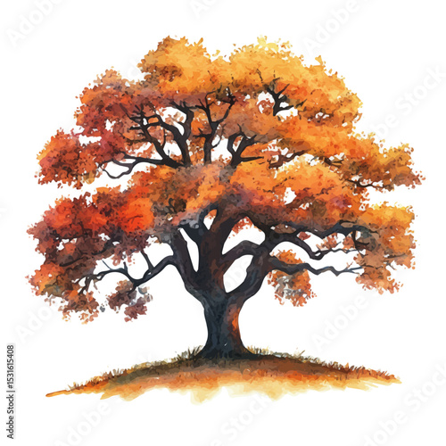 watercolor vector of Sunset Behind Oak Tree, isolated on a white background.