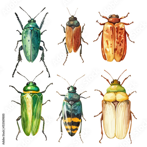 Subterranean Insects, watercolor illustration vector, isolated on a white background.