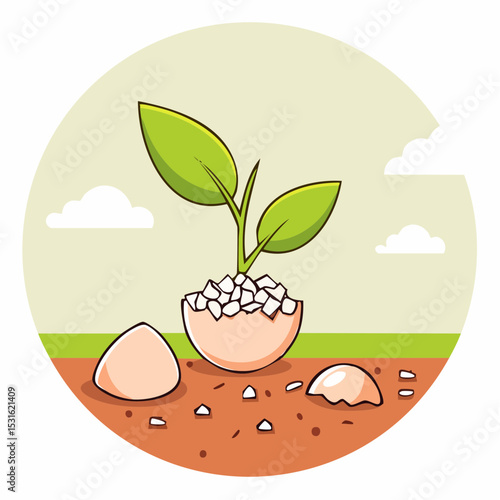 A young plant sprouts from a broken eggshell in fertile soil, symbolizing growth and new beginnings.