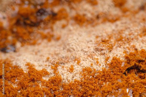 Wallpaper Mural Mixture of curry powder and mushroom seasoning for making paste Torontodigital.ca