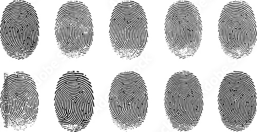 Fingerprint Pattern: A series of intricate fingerprint patterns. Each unique mark tells a story of identity and individuality, a testament to the subtle details that make us all distinct