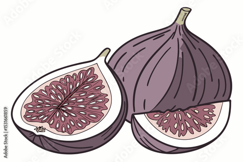Fresh figs whole and halved illustration