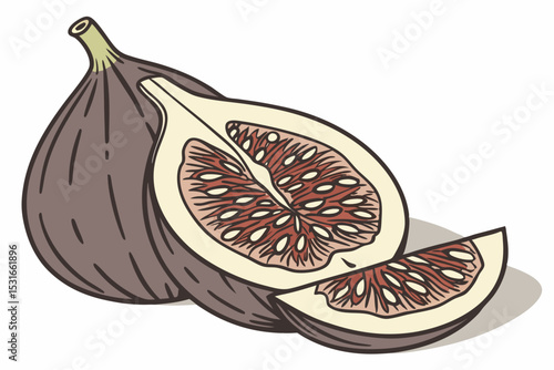 Fresh figs whole and halved illustration