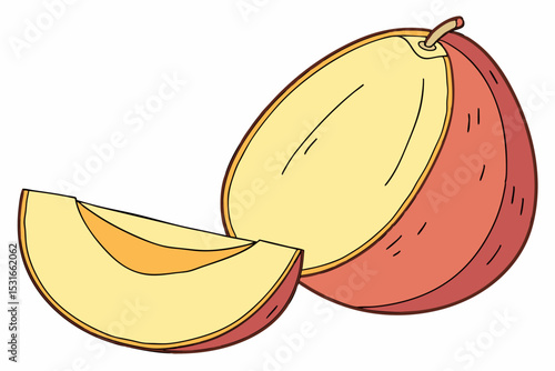 Halved nectarine with a slice fresh fruit illustration