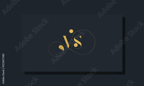 Minimal royal initial letters VS logo
