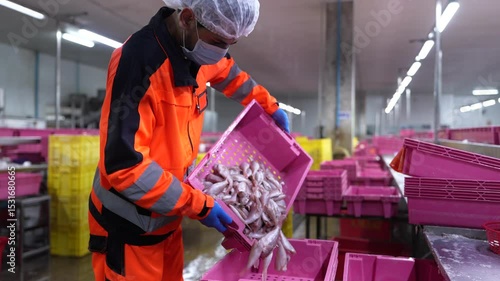 A factory worker in protective gear sorting fish into plastic containers at a cold storage facility, ensuring hygiene and quality in seafood processing operations.