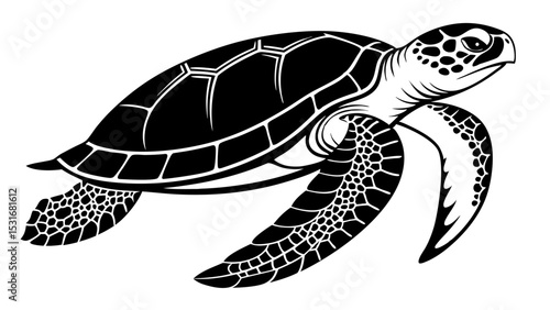 Minimalist turtle logo, transparent background