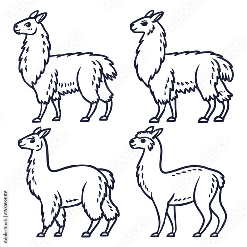 Four different line art drawings of llamas and alpacas