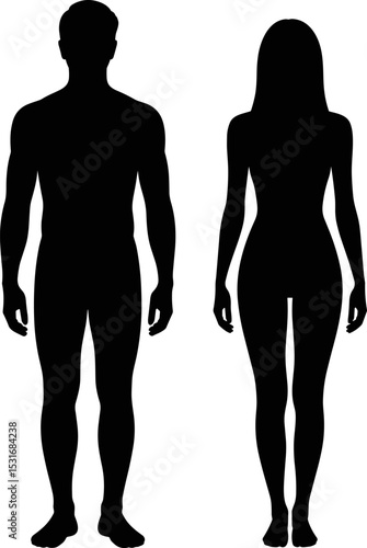 Black Silhouette of a Man and a Woman – Male and Female Gender Body Silhouettes, Vector Illustration for Medicine, Anatomy, or Health Design

