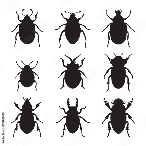 Vector illustration of various beetle silhouettes for design and creative projects, insects collection