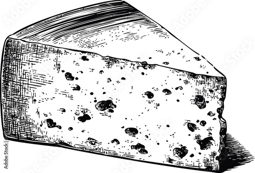 Illustration of a wedge of blue cheese with detailed texture lines. Vector illustration in sketch style