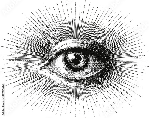 Monochrome illustration of a single eye with rays symbolizing enlightenment. Vector illustration