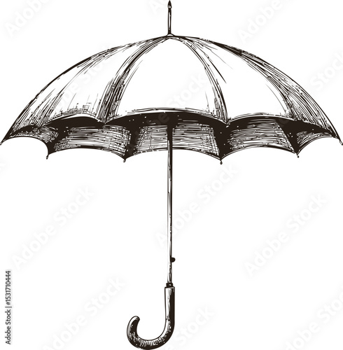 Black and white vintage umbrella illustration with detailed sketch lines. Vector illustration