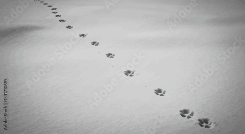 Monochromatic dog tracks on a snowy surface offer a minimalistic winter scene