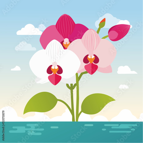 An elegant flat vector illustration of orchid flowers with varying shades of pink and white, set against a serene sky and water background.