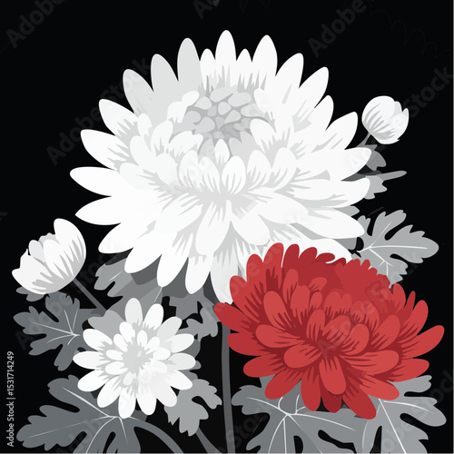 Elegant floral illustration featuring a cluster of chrysanthemums, showcasing white and red blooms with detailed petals against a black background.