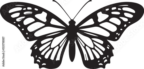 butterfly on white background