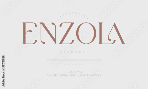 Luxurious and elegant serif display font with soft curves and refined contrast, perfect for branding, packaging, and upscale editorial design