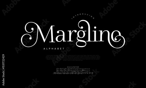 Bold Elegant Swirly Serif Display Font