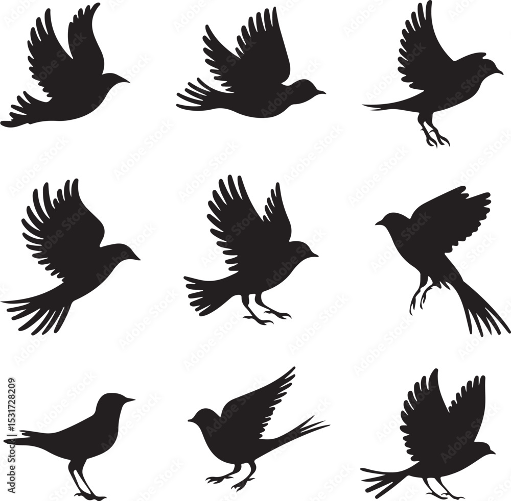 Obraz premium Set of flying bird vector silhouettes with various wings, including eagle, hawk, dove, crow, and pigeon designs, perfect for nature and wildlife illustrations
